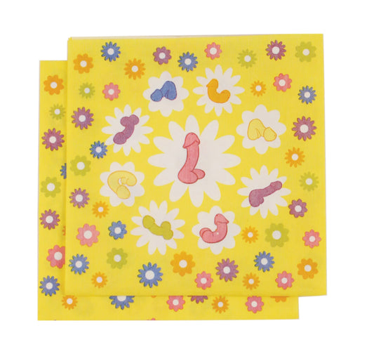 Super Fun P**** Napkin - McCabe's Costumes