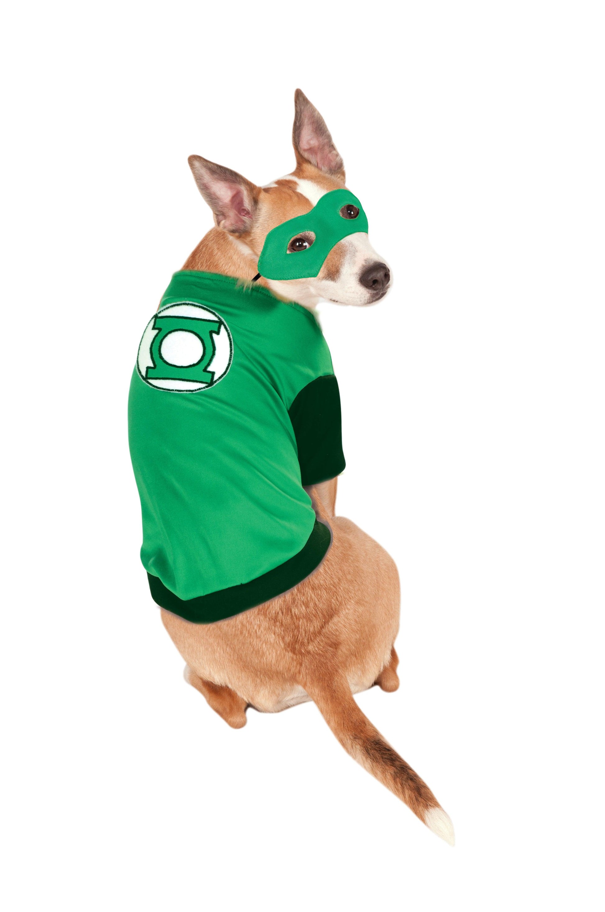 Green Lantern Dog Costume - McCabe's Costumes