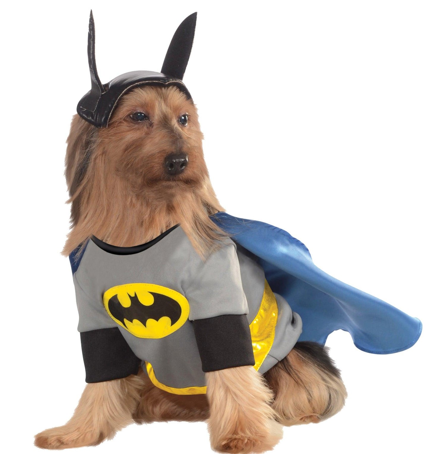 Batman Dog Costume - McCabe's Costumes